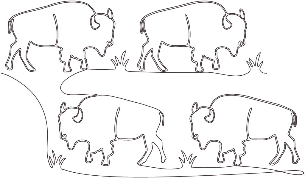 Bison - B2B