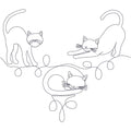 Cat's Meow - E2E