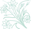 Daylily - B2B