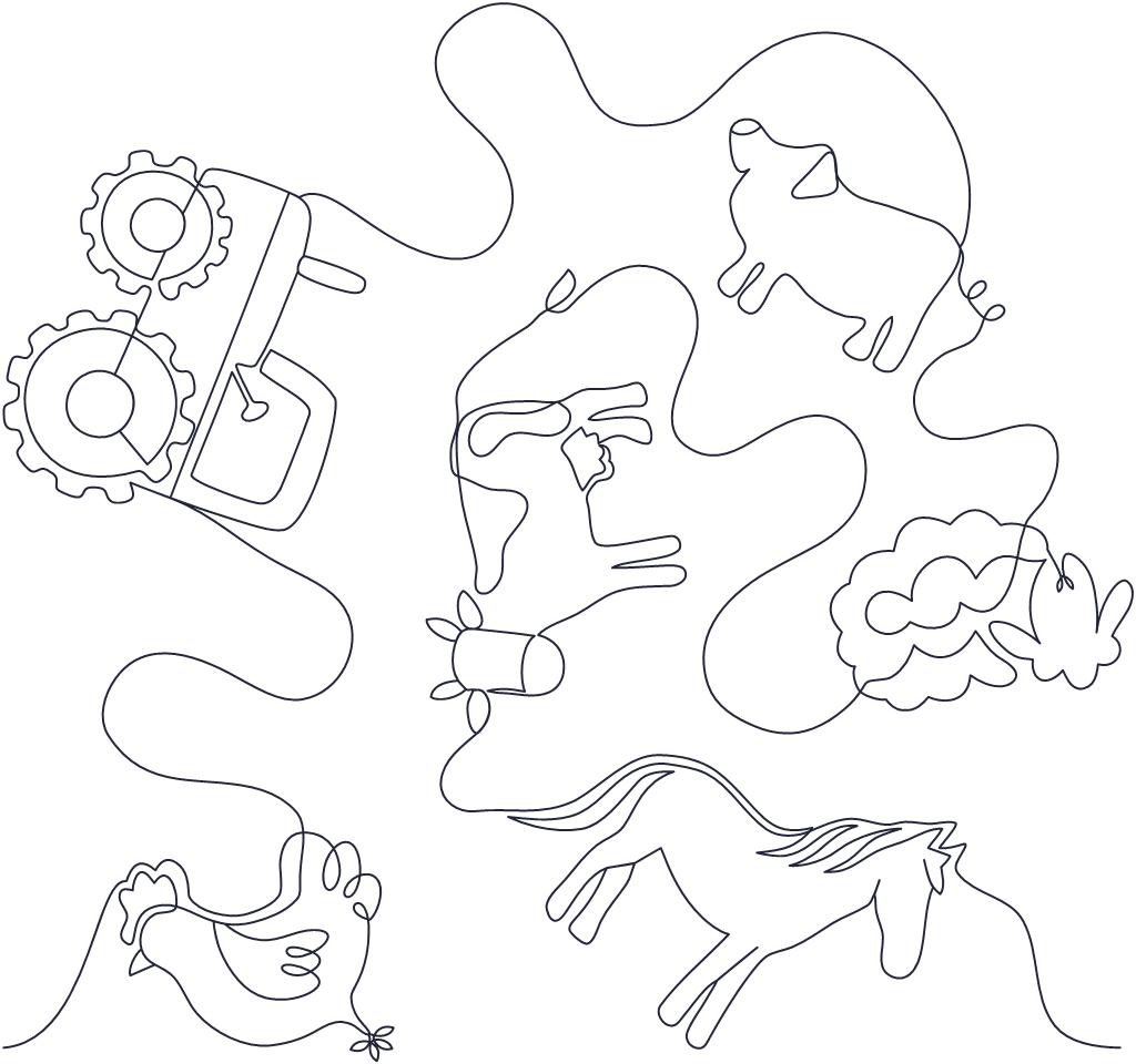 Farm Animals v.2 - B2B