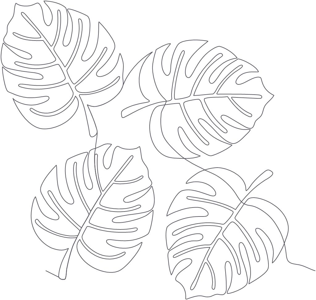 Monstera Leaves - E2E